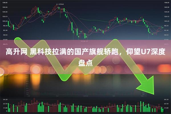 高升网 黑科技拉满的国产旗舰轿跑，仰望U7深度盘点